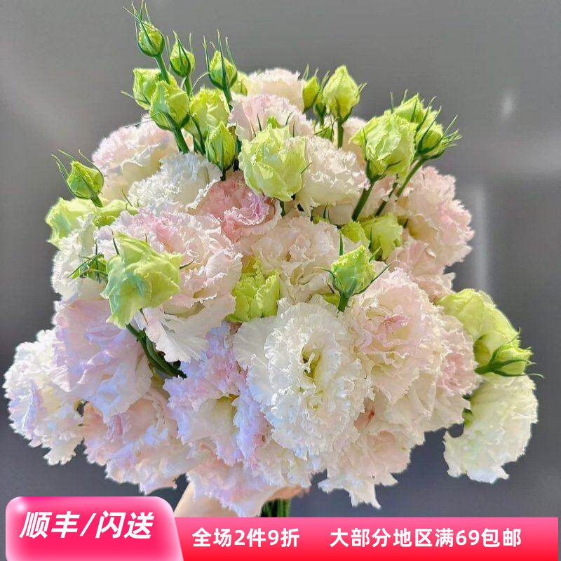 冰激凌洋桔梗卷边龙胆鲜花闪送