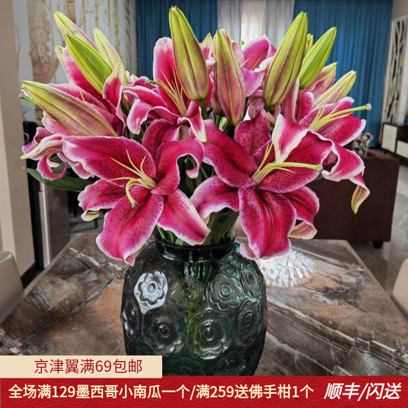 黑美人香水百合鲜花 大花朵10枝 办公室水养瓶插花节日礼物年宵花