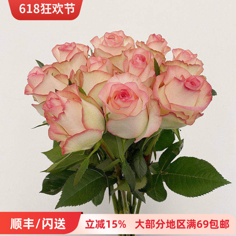 A级玫瑰鲜花直批 爱莎玫瑰花 家用鲜花 长枝条大花头北京鲜花速递