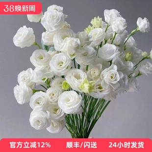 新鲜洋桔梗白色龙胆鲜切花洁白真爱鲜花家居DIY插花婚庆鲜花10枝