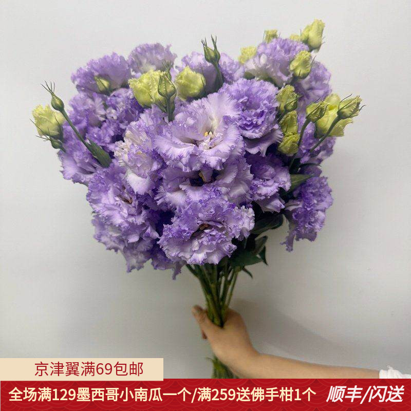 紫色波浪洋桔梗鲜切花 龙胆一扎8枝北京同城直送水瓶插花花艺美学