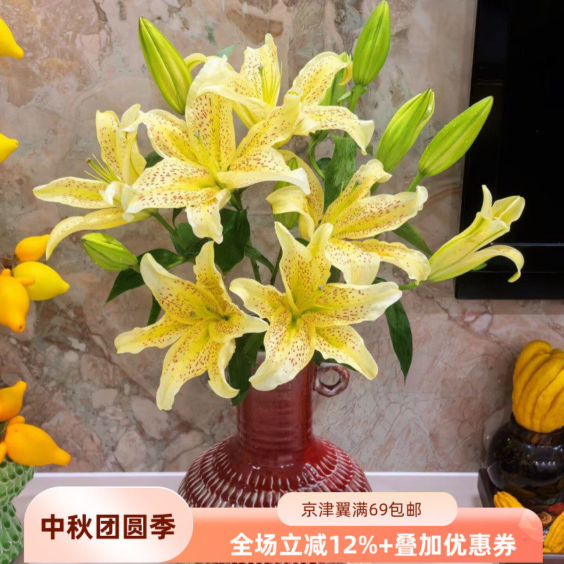 老虎沐恩百合鲜切花10枝顺丰速运
