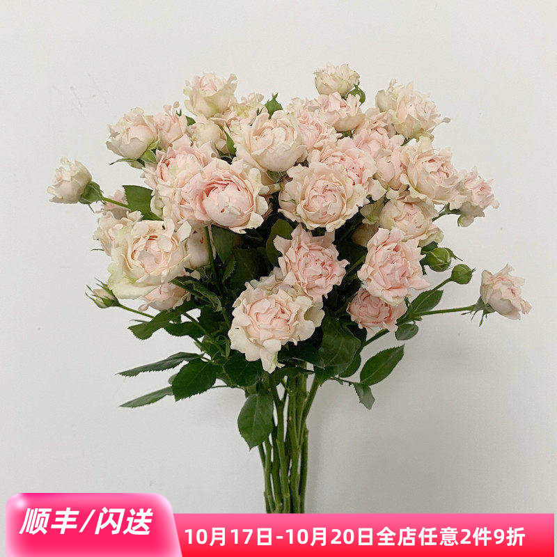 8枝苏芬家用水养鲜花闺蜜礼物
