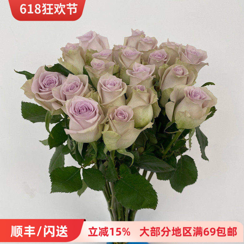 藕荷色玫瑰花海洋之谜家用鲜花