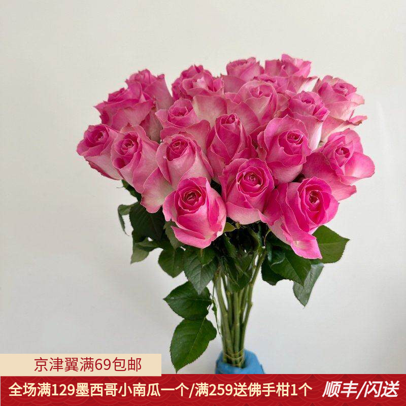 19朵糖果玫瑰婚礼情人节桃红切花