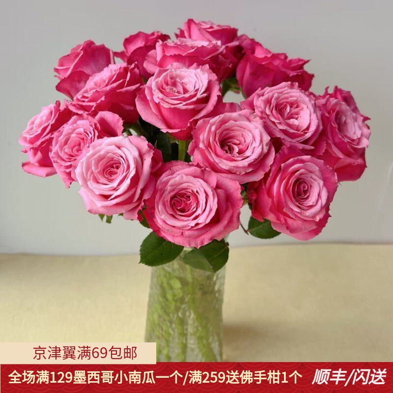 新品 小红梅玫瑰 日常瓶插 新鲜大朵喜庆 A级 北京花卉市场直批