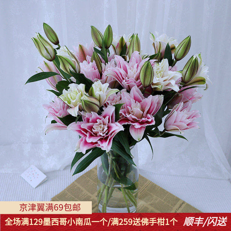 重瓣百合花白色粉色红色北京直批