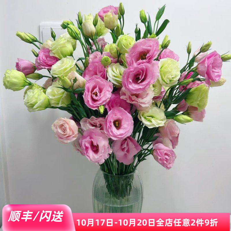 粉色洋桔梗鲜切花10枝家用瓶插花