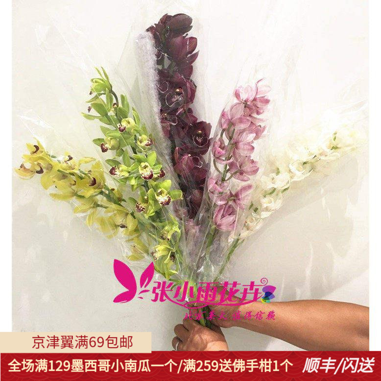 多颜色花蕙兰北京鲜花直送高1枝