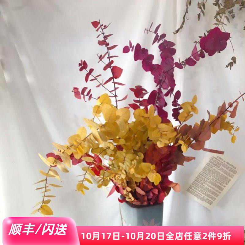 荷兰进口彩色尤加利叶 吸色叶材可做干花 高端鲜花配叶 花束礼盒