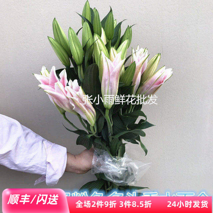 香水百合大朵粉百合东北百合基地直供春节家庭办公室摆放花发顺丰