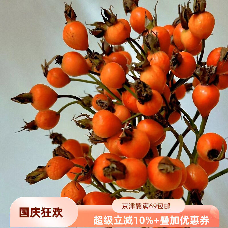 玫瑰果鲜切枝易养干花速递闪送