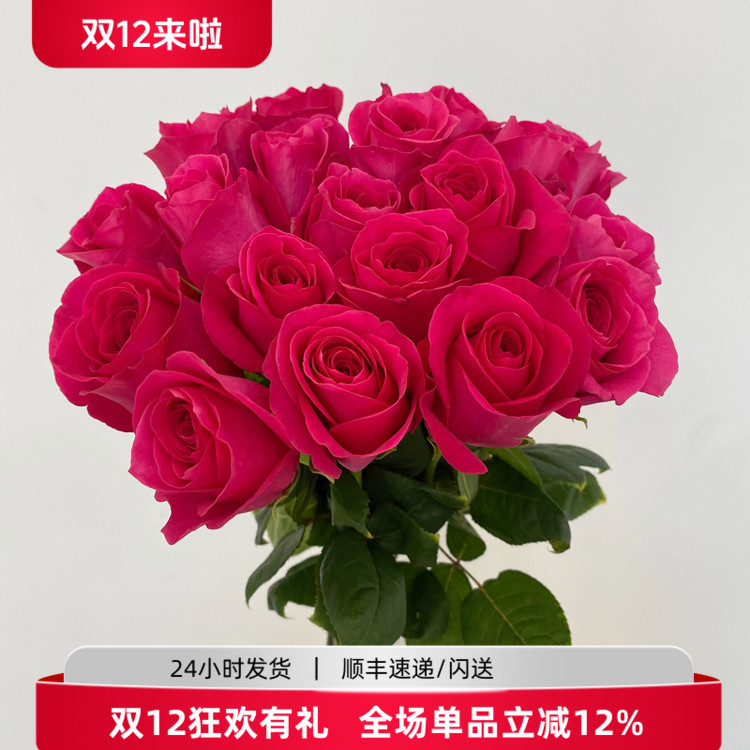 A级弗洛伊德玫瑰鲜切花同城速递