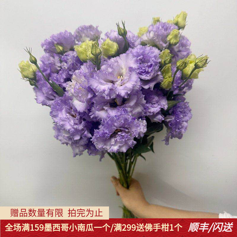 紫色波浪洋桔梗龙胆花多色选择