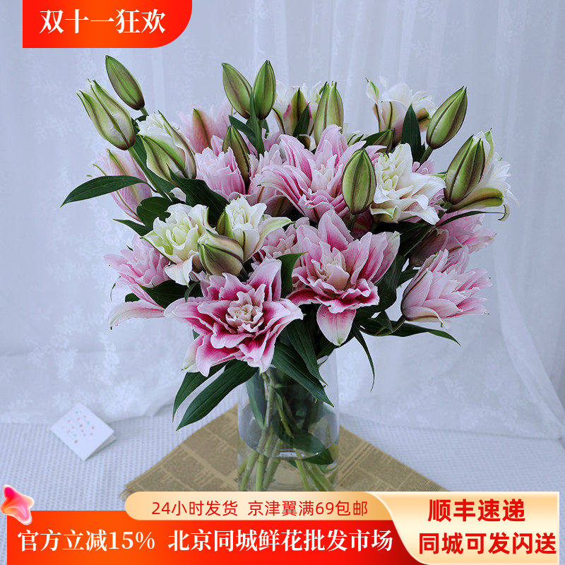 重瓣百合花白色粉色红色北京直批