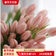轻奢日常瓶插 法郁水蜜桃郁金香 一扎10枝欧式 花束礼盒婚礼手捧花