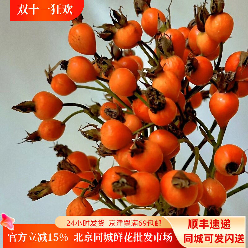 玫瑰果鲜切枝易养干花速递闪送