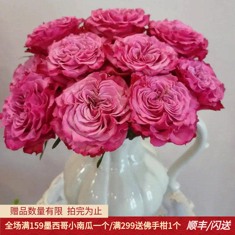长相思玫瑰鲜切花北京同城速递