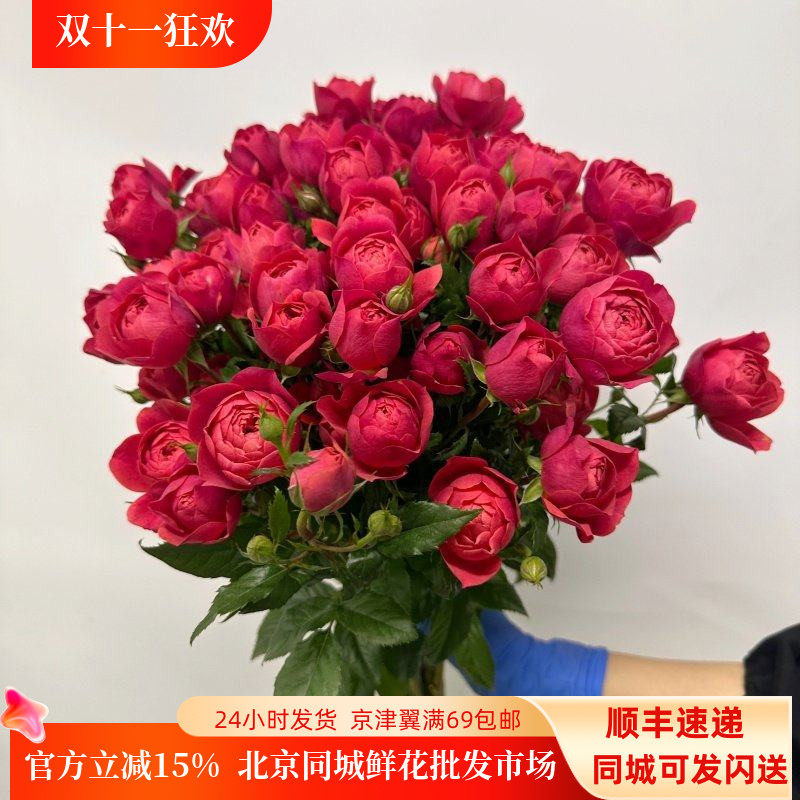 新鲜绝色果汁多头玫瑰一束10枝
