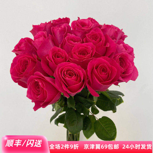 A级弗洛伊德玫瑰鲜切花同城速递