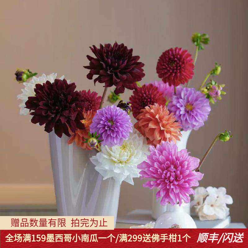 新鲜大丽花多颜色配花同城速递