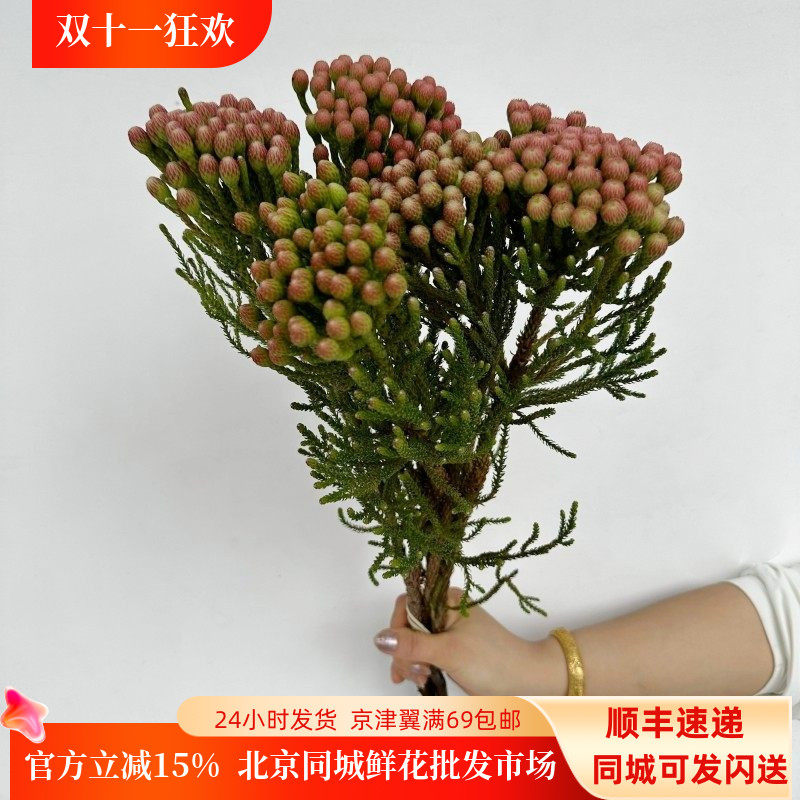 5枝红珊瑚果婚礼花期长鲜切花