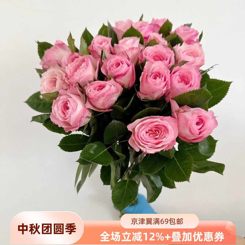 19朵梅拉玫瑰进口鲜花大朵淡香