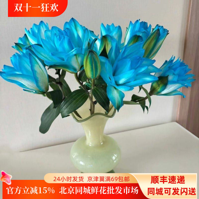 吸色重瓣百合10枝鲜切花期长