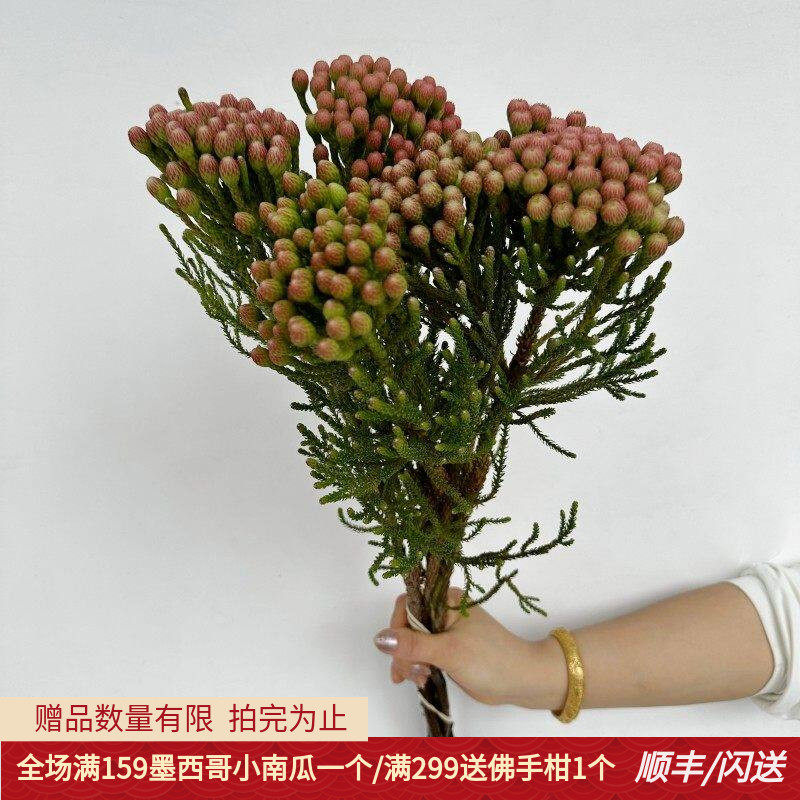 5枝红珊瑚果婚礼花期长鲜切花