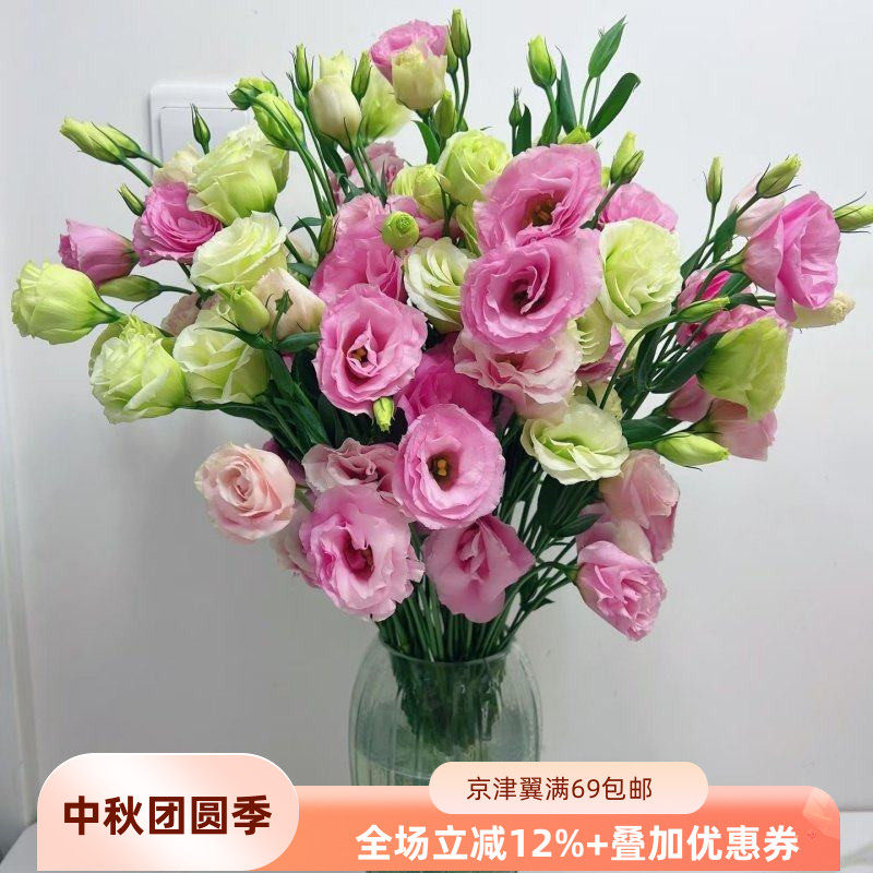 粉色洋桔梗鲜切花10枝家用瓶插花