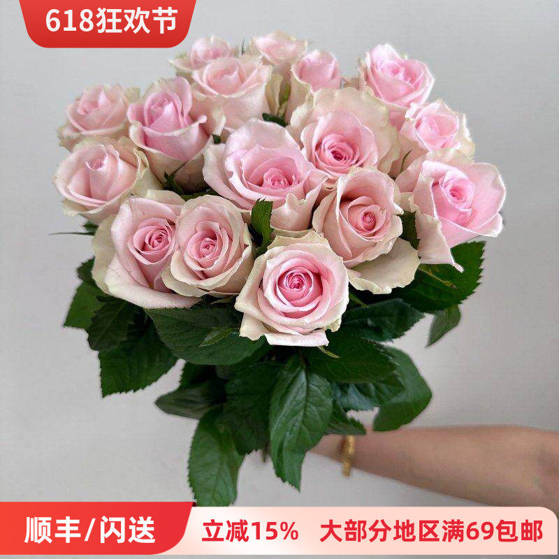 少女粉 火奴鲁玫瑰 大朵绽放办公室水瓶插花居家DIY花艺 鲜花速递