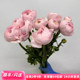 超级樱花粉洋牡丹 家用鲜花办公室周花同城速递 大朵千层养水开花
