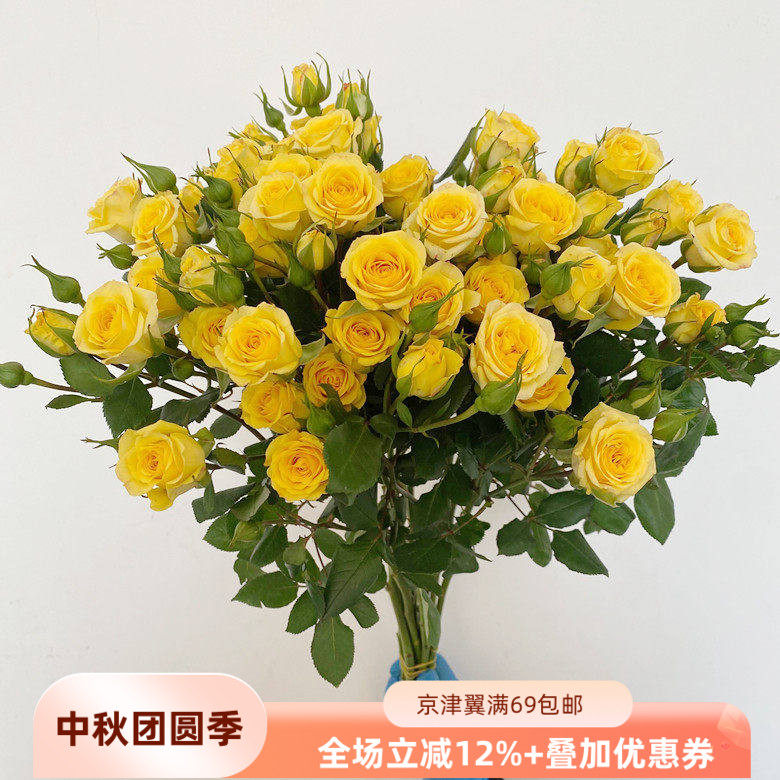 亮黄色10枝黄芭比蔷薇水瓶插花