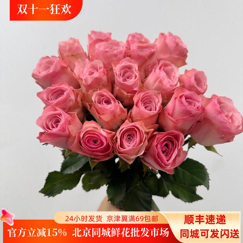 胭脂粉和铉玫瑰新品花瓶插花周花
