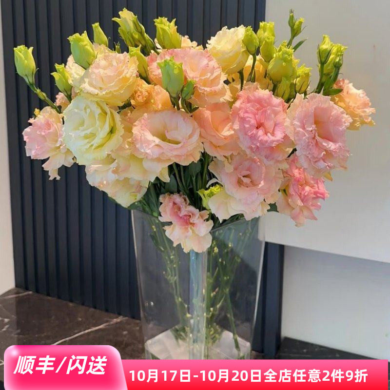 新鲜绿色龙胆洋桔梗鲜花10枝