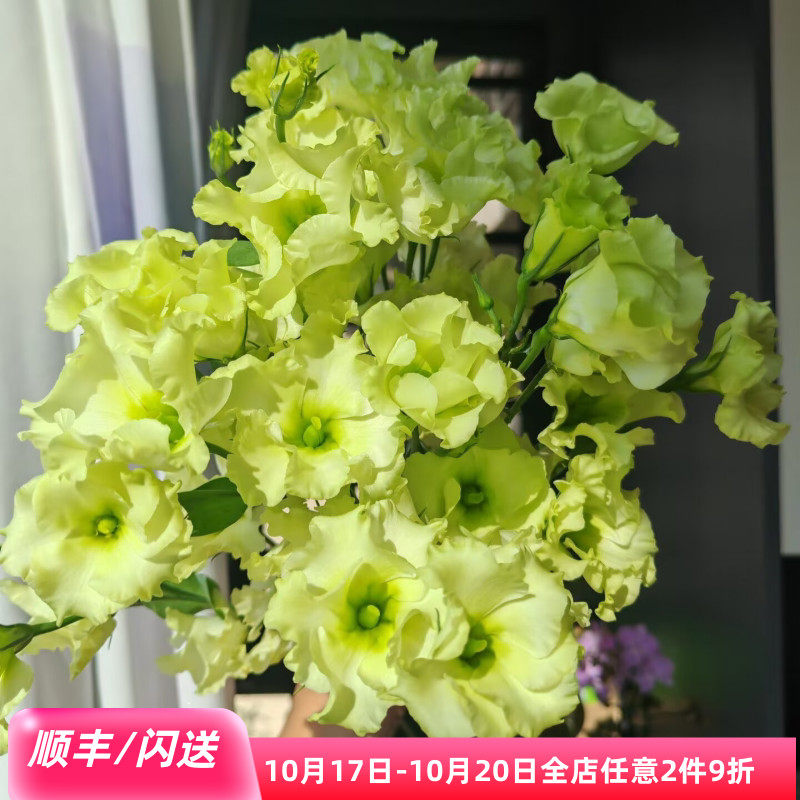 蝴蝶洋桔梗单瓣清新优雅瓶插花