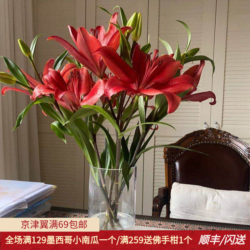 亚百暗红色花朵10枝多头鲜切花