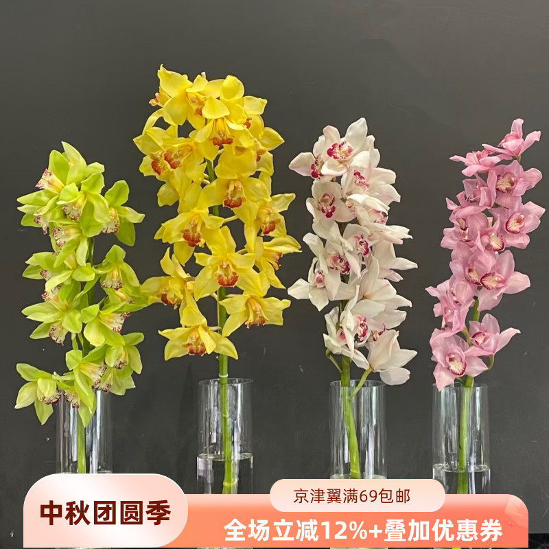 荷兰进口大花蕙兰鲜切花婚礼用