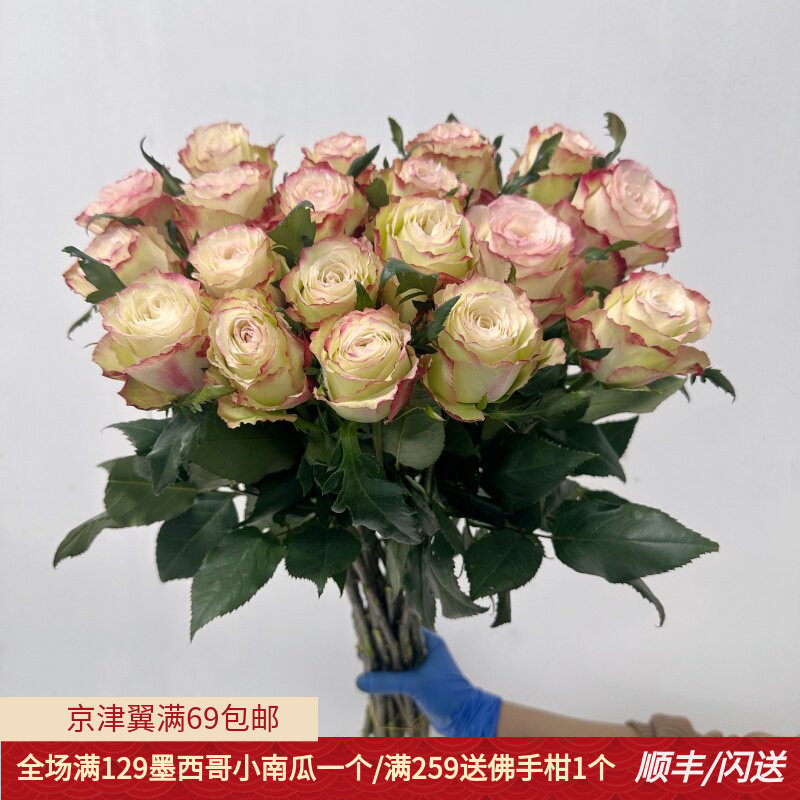 厄瓜多尔甜心玫瑰大头粗杆礼盒