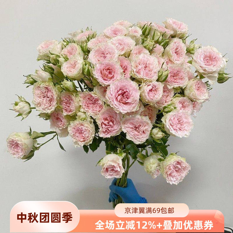 情迷罗拉多头玫瑰 蔷薇鲜切花 波浪纹花瓣 家用装饰水养周花观赏