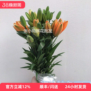 橙色亚百合年宵花 鲜切花多头百合花家庭办公室DIY瓶插花北京鲜花