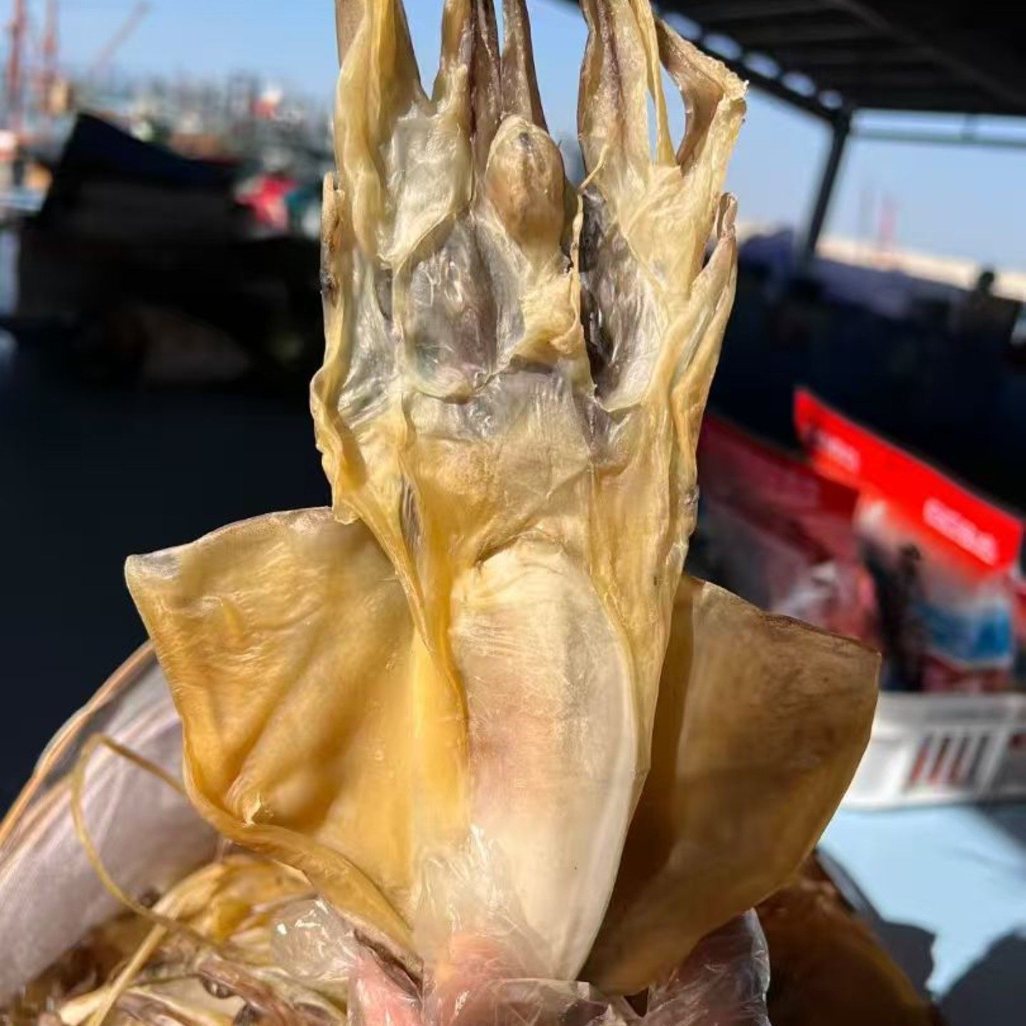 小墨鱼干海鲜干货目鱼干福建特产