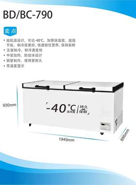 华洋超低温-40商用大容量卧式铜管超市冷冻冷藏冷柜冰柜可转换