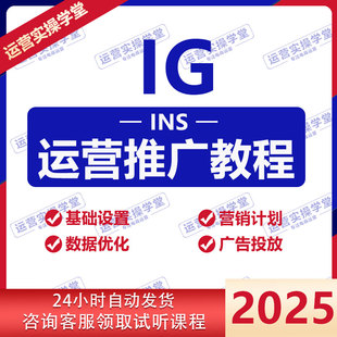 IG 运营培训教程视频网课精品课程