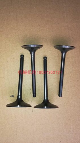 隆鑫汽油机配件 隆鑫196FD进排气门 隆鑫LC13000发电机组进排气门