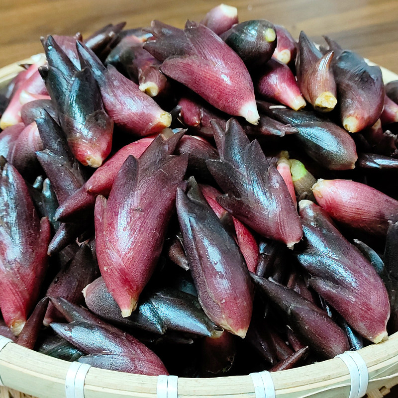 新鲜阳荷洋合现摘现发1斤