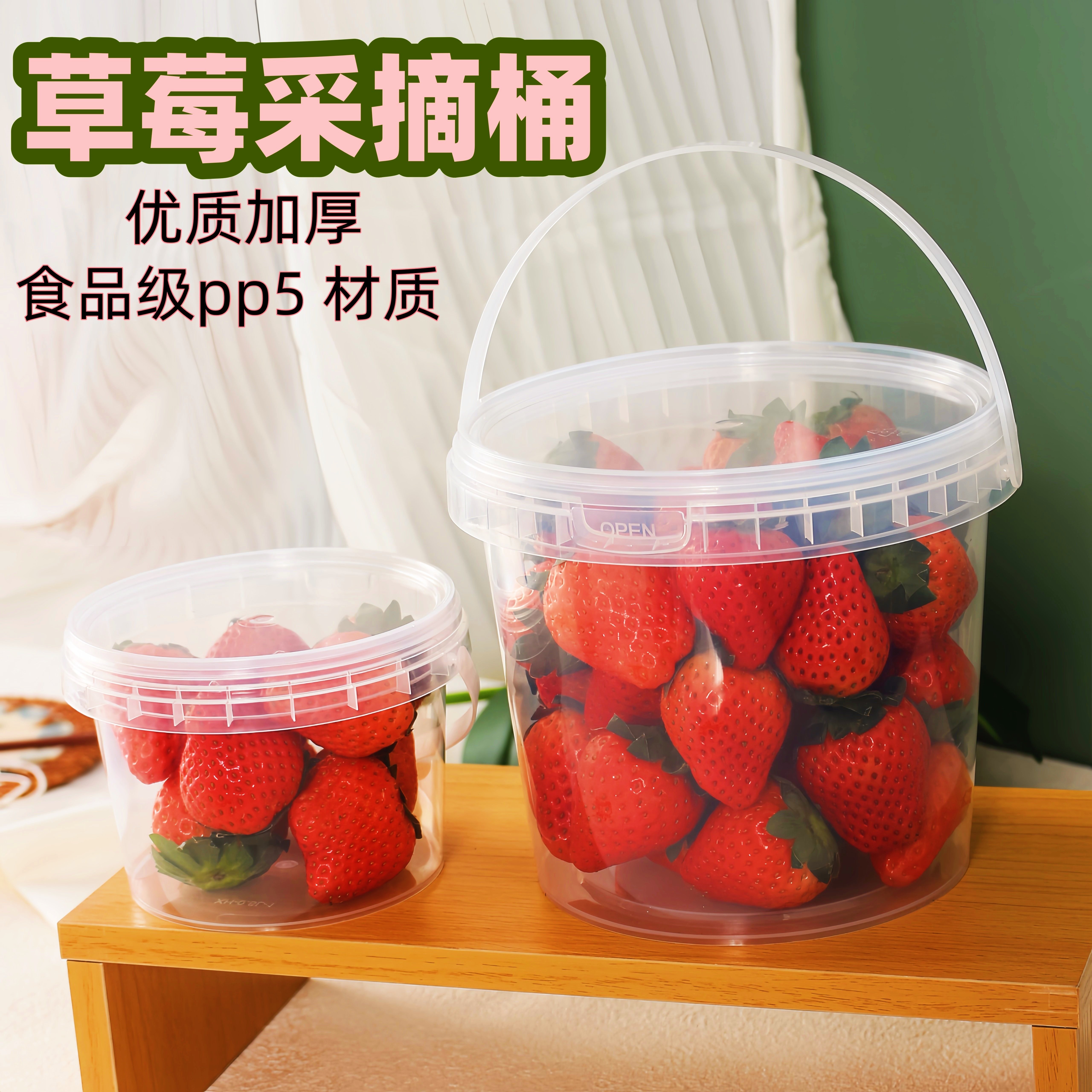 加厚食品级包装桶高端手提礼盒透明草莓蓝莓水果保鲜空桶采摘桶