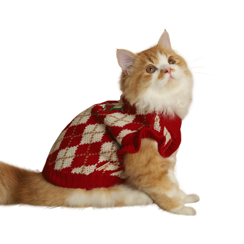 猫咪衣服冬季的猫猫布偶红色秋冬毛衣宠物背心狗狗小猫保暖狗冬天
