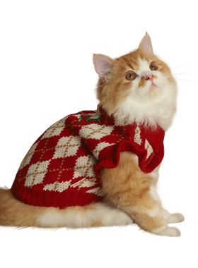 爆款！猫咪V领保暖设计感毛衣