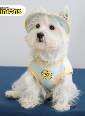 Hoopet x 小黄人联名 狗狗衣服夏天西高地防晒猫咪衣服防掉毛夏季